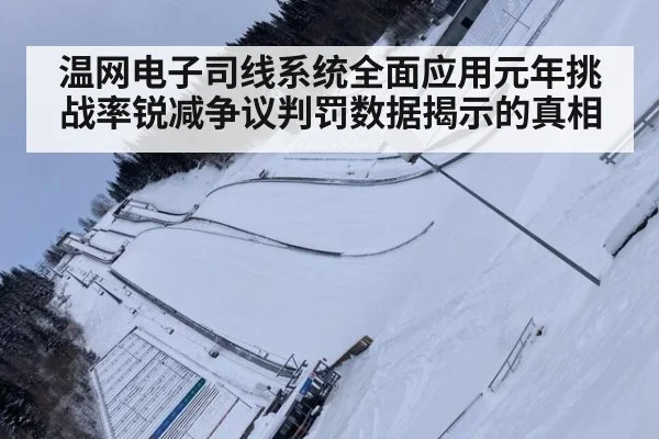 温网电子司线系统全面应用元年挑战率锐减争议判罚数据揭示的真相
